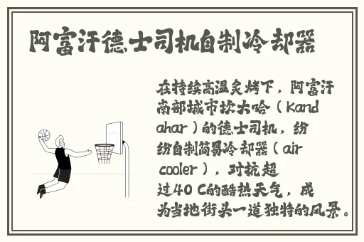 美宝网址多少